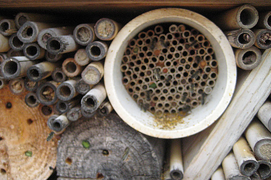 Bee Hotels