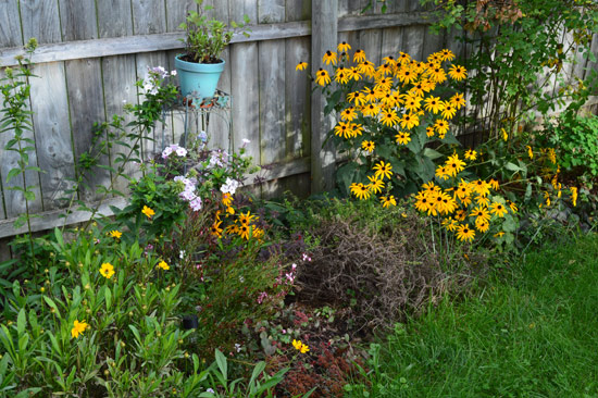 Fence-Bed