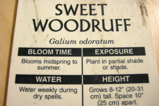 Sweet Woodruff Plant Tag