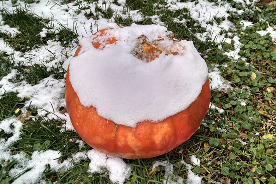 111514_pumpkin