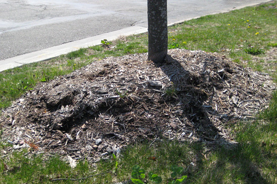 Mulch Volcano