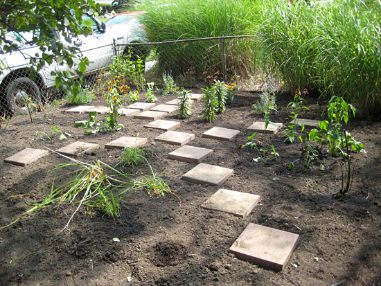 Planted Sunny Flower Bed