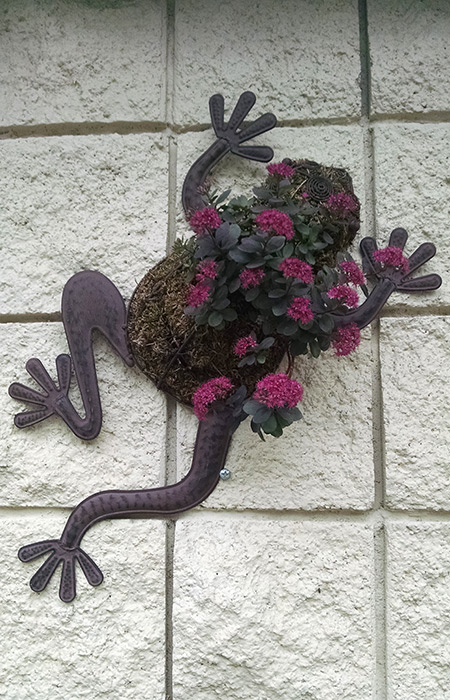 Frog Wall Planter