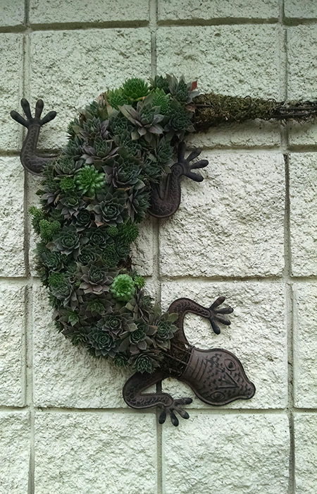 Lizard Wall Planter