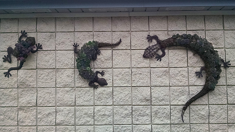 Zoo Wall Planters