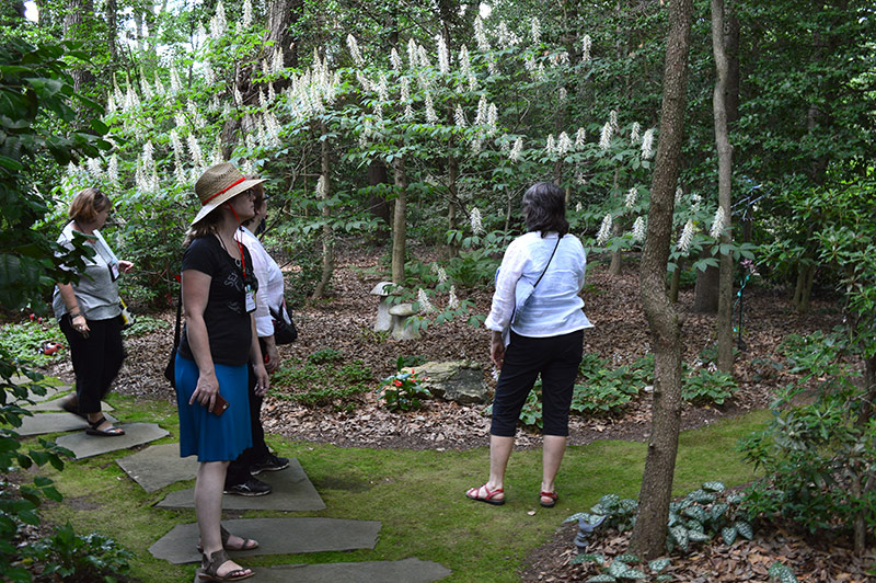 Gardeners in the Woods