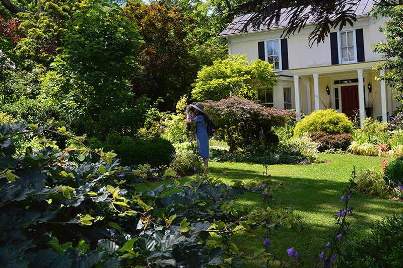 Gardener Photographing Plants