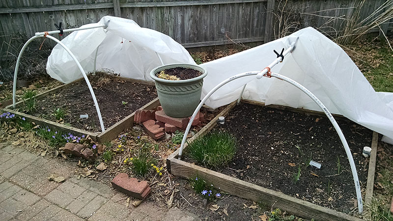 Hoop Houses on Raised Beds