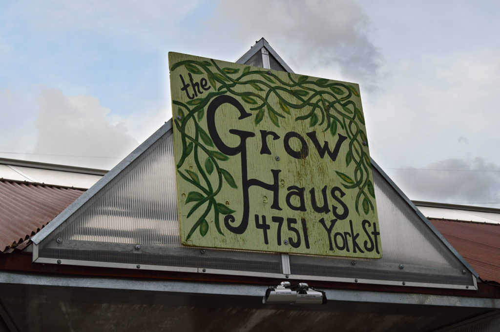 Grow Haus in Denver Colorado