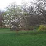 Park Landscaping